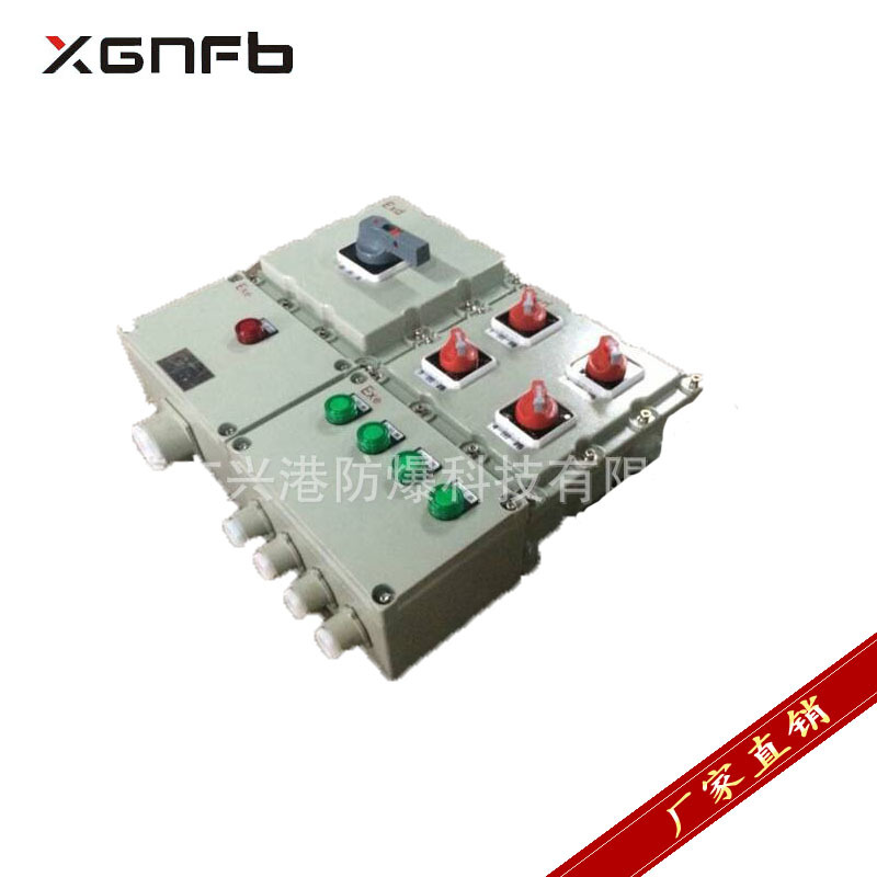 厂家供应BXK-T防爆照明（动力）配电箱 防爆配电箱 品质保证图1