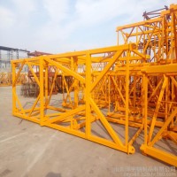 山东泽宇建机 生产塔式起重机 建筑机械