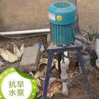 水泵家用抽水泵 抗旱软轴泵水泵 增压家用水井电动水泵