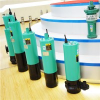 神龙供应WQX15-30-3污水泵 吸式污水泵 潜水泵 潜水排污泵厂家
