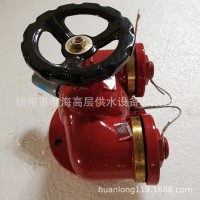 批发大体球墨 多功能新型消防水泵接合器 简易消防接合器SQD100