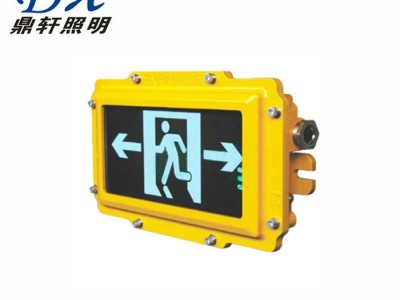 鼎轩照明防爆消防应急标志灯具 OK-BLZD-1LROE I 5W8402 D 电厂廊道走道图1