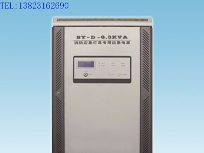 SY-D-0.3KVA消防应急灯具应急电源