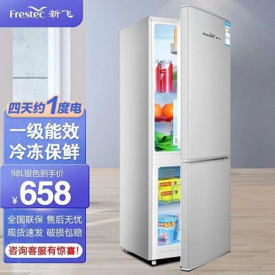 新飞小冰箱一级能耗家电小型家用办公室租房宿舍节能省电迷你冰箱
