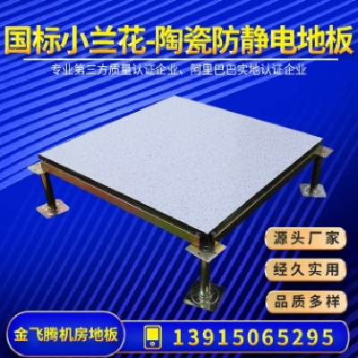 国标小兰花-陶瓷防静电高架空活动地板 表面静电化处理 金飞腾图4