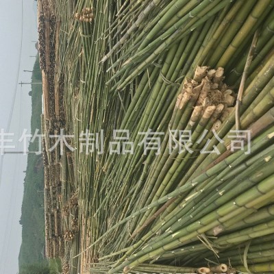 产地大量山药搭架农用种植养殖竹子楠竹竹稍各种规格竹竿图2