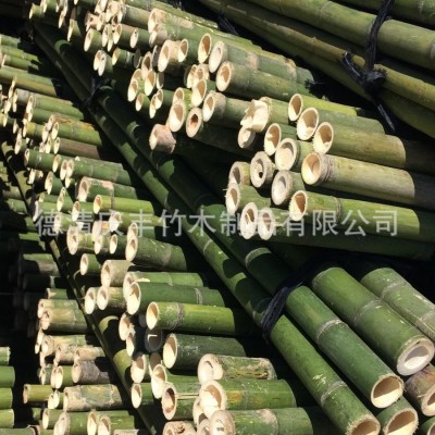 产地大量山药搭架农用种植养殖竹子楠竹竹稍各种规格竹竿