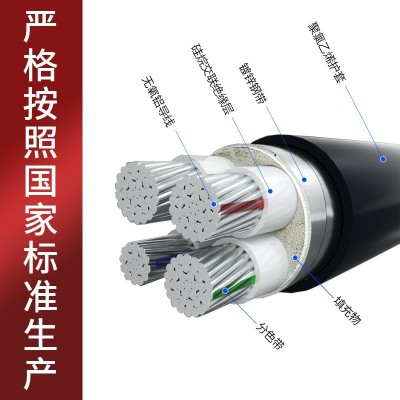 国标纯铝芯YJLV/VLV22架空1/2/3/4/5芯10平方地埋铠装电力电缆线图2
