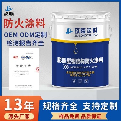 钢结构防火涂料厚型薄型非膨胀耐高温隔热油漆阻燃水性