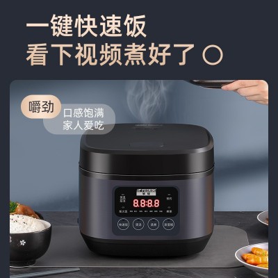 工厂现货正半球智能2~6人电饭锅多功能可预约家用3~5L电饭煲