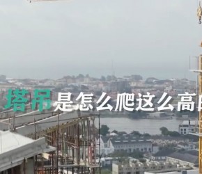 比建筑还高的塔吊，是如何升那么高的？看完涨知识了