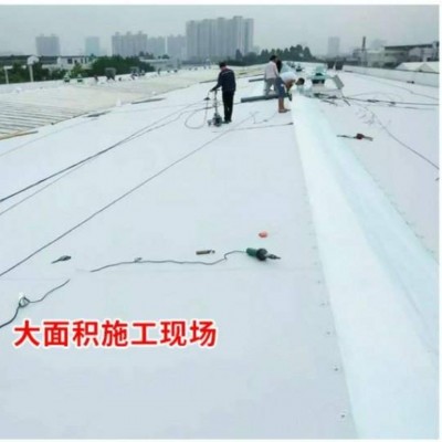 新型内增强热塑性聚烯烃TPO自粘防水卷材 弹性体建筑防潮材料批发图3