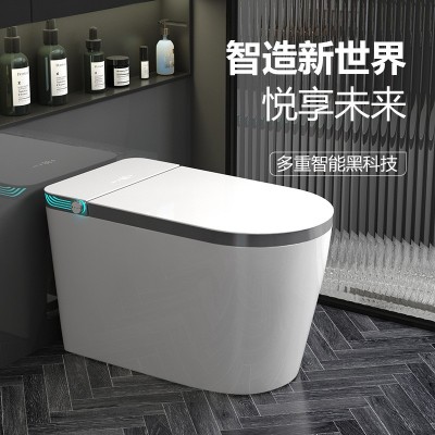 大户型智能马桶全自动杀菌一体式家用坐大便器电动即热无水压限制